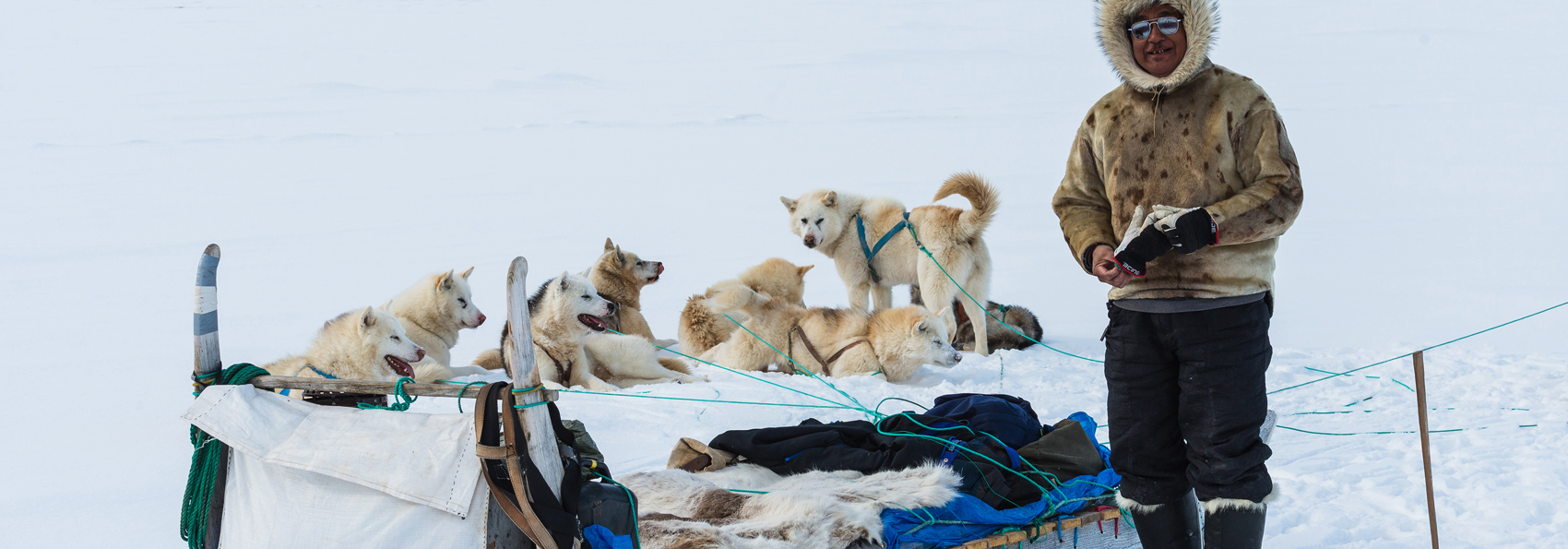 hundeslæde_03
