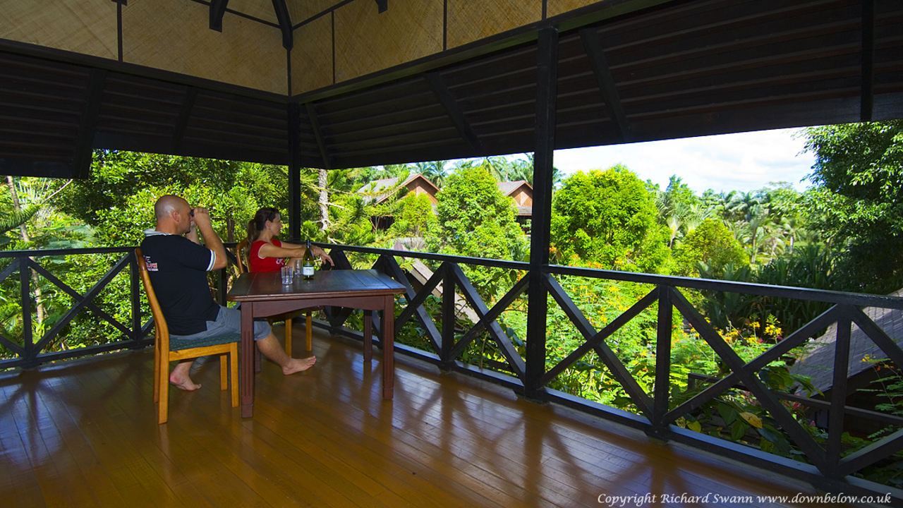 sepilok nature resort_udsigt terrasse_01‏