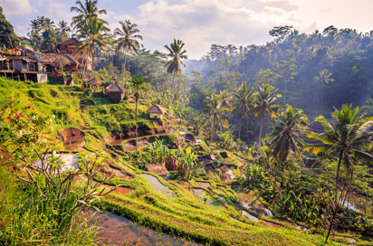 bali - bali_ubud_landsby_01