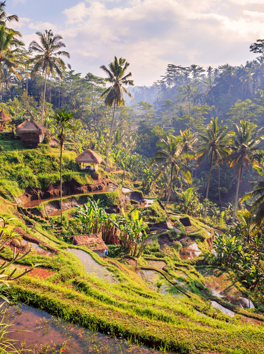 bali - bali_ubud_landsby_01