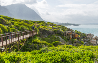 Kyststien i Hermanus