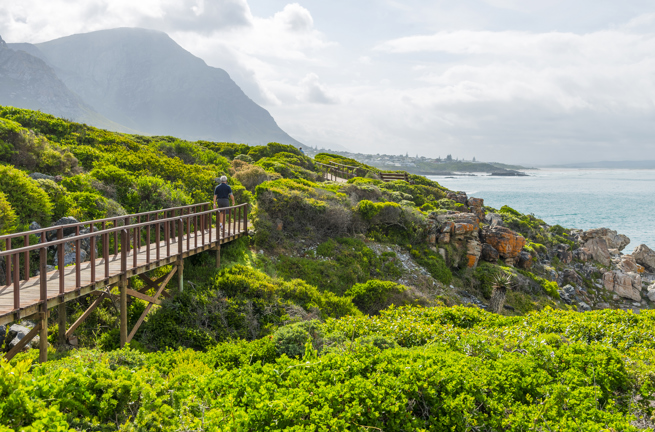 Hermanus Cliff Path 01