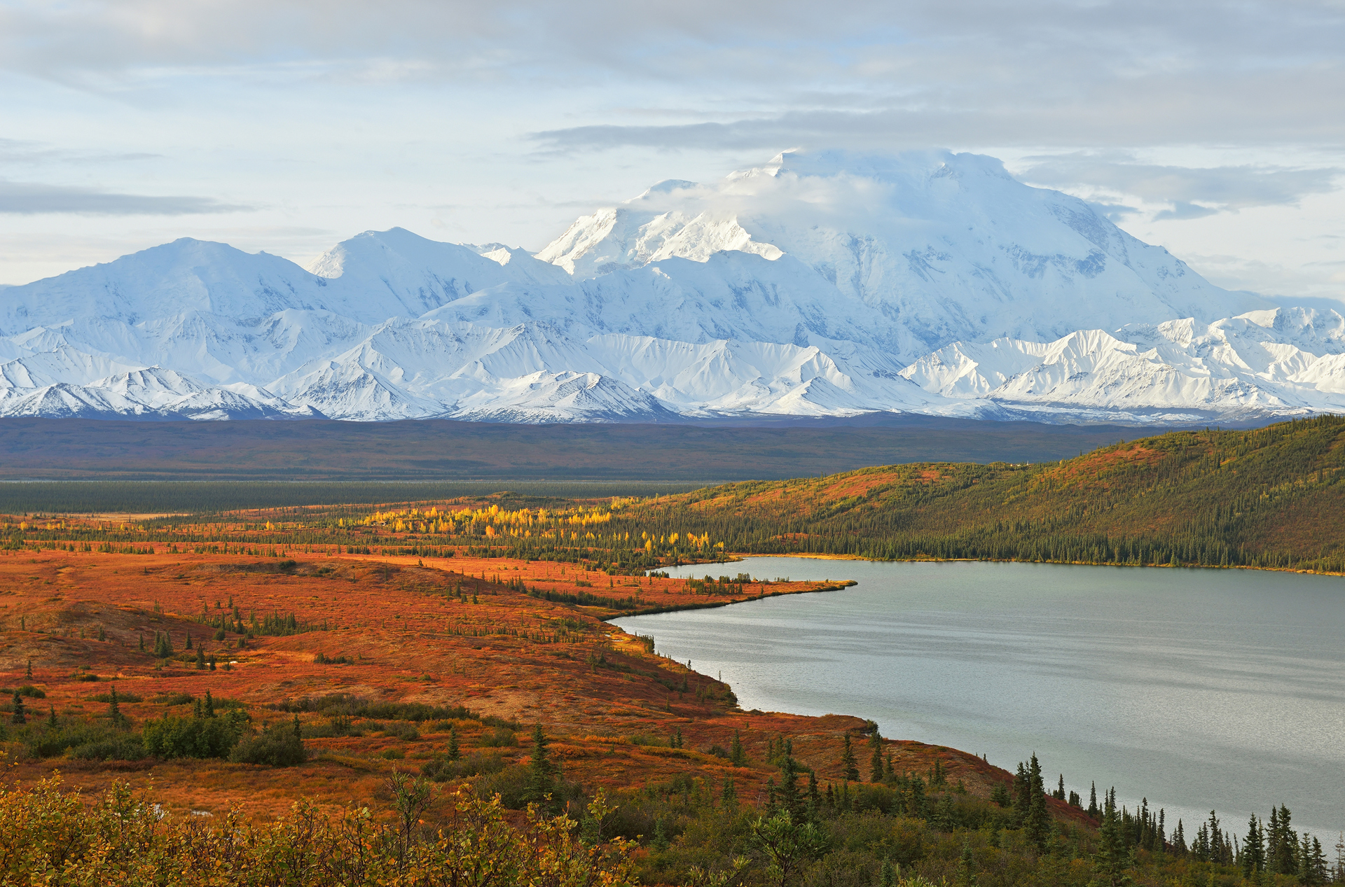 denali national park_alaska range_bjerge_01