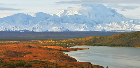 Vi begynder rejsen i storslået natur i Denali National Park