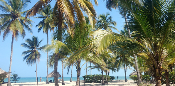 colombia - palomino_strand_02