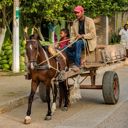 colombia - _DSC3468  raw a_1600x992