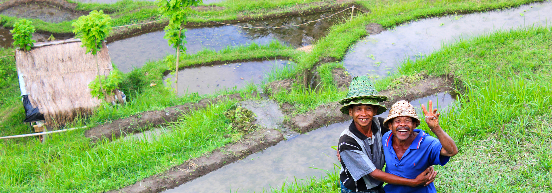 bali - ubud_rismark_farmer_16
