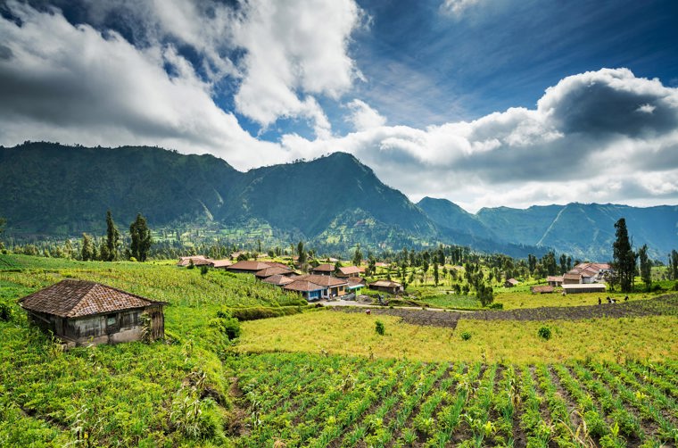 indonesien - java_bromo national park_10