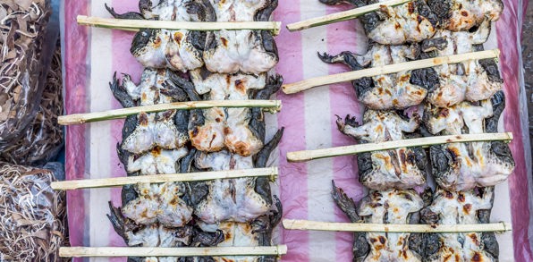 laos - laos_grillede froeer_01