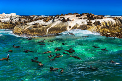 Hout Bay Cape Town