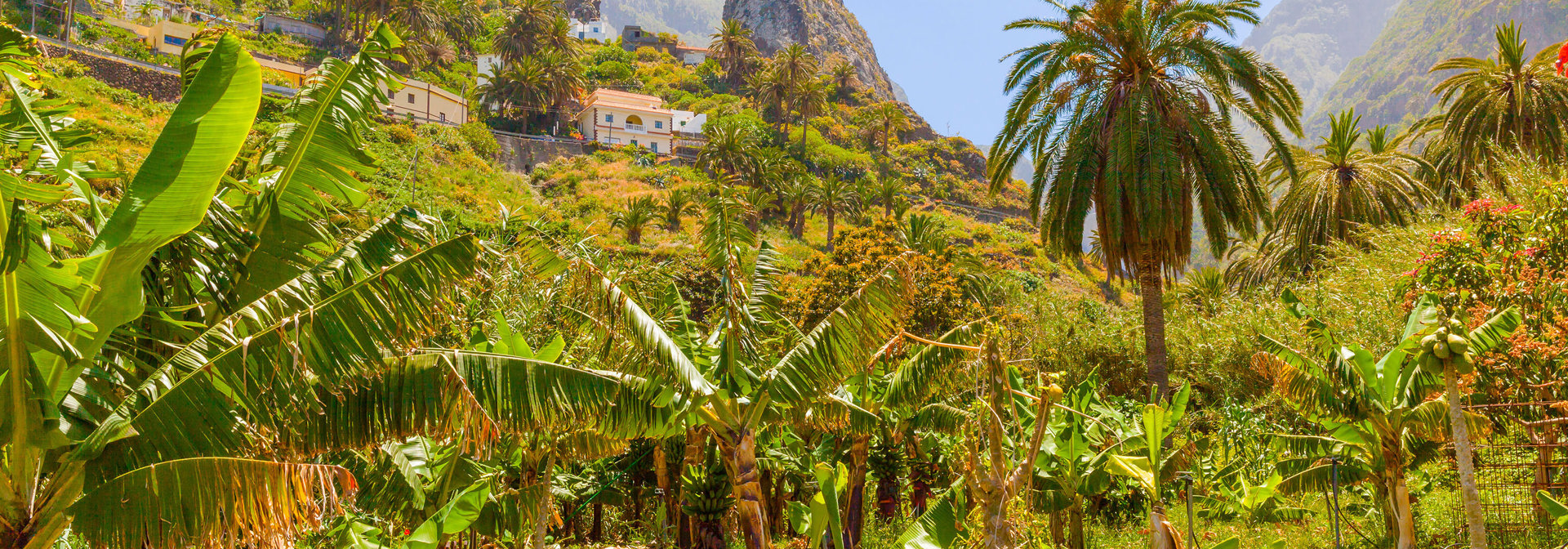 la gomera_natur_02