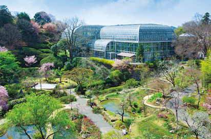indien - kochi botanisk have_01