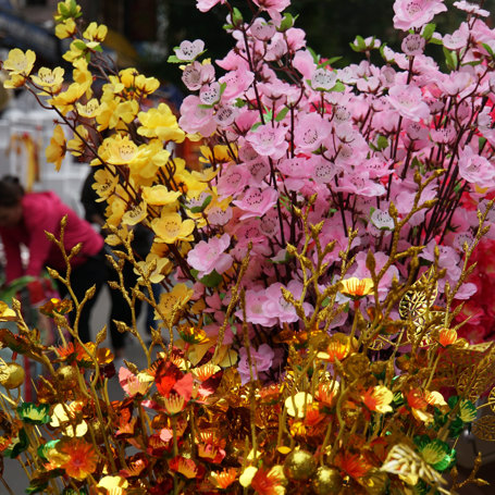 Vietnam Ho Chi Minh City Blomstermarked 01