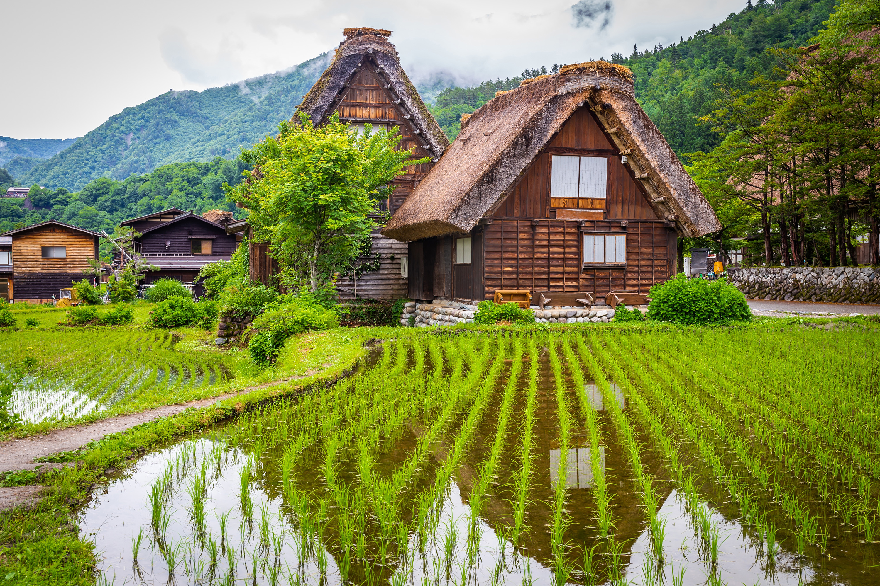 Shirakawago Village 05