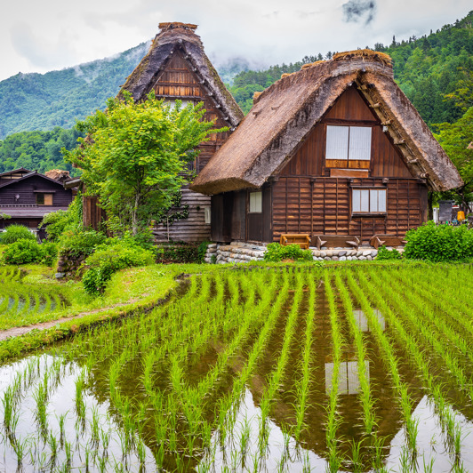 Shirakawago Village 05