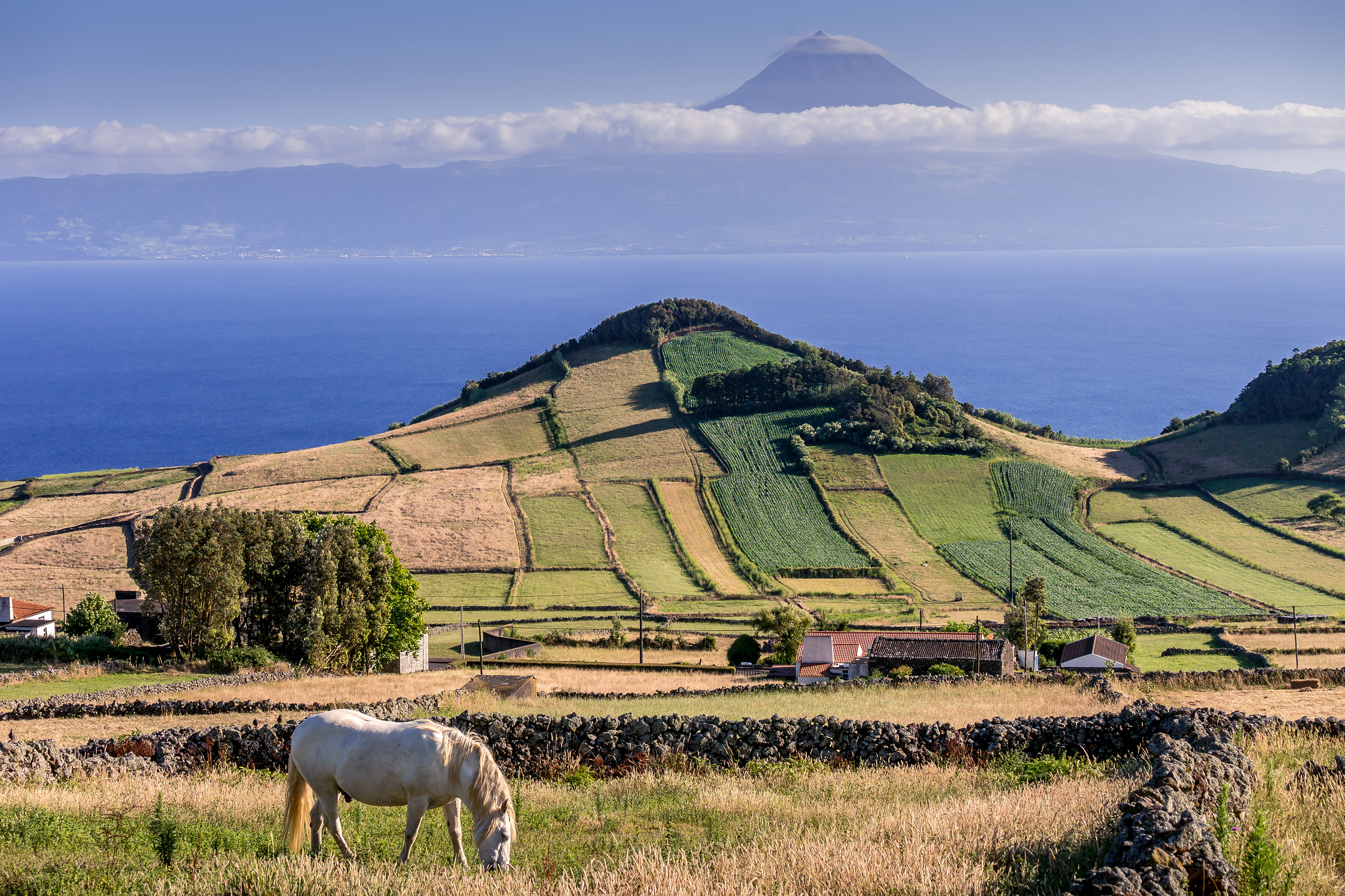 sao jorge_landbrug_01