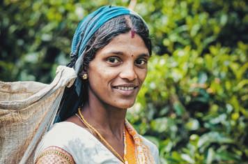 Sri Lanka Teplantage Befolkning Cc