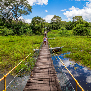 Pantanal Gangbro