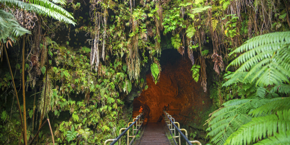 big island_thurston lava tube_02