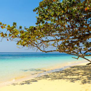 Fra Koh Lanta rejser I videre til Koh Ngai.