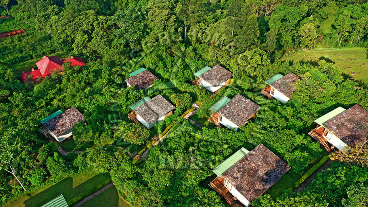 Haven Lodge Buhoma 2