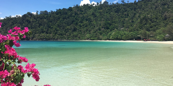 bungaraya island billeder line_01