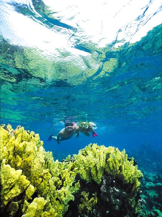dansk vestindien - dansk vestindien_snorkling_01_HF