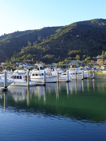 new zealand - marlborough sounds_picton_02