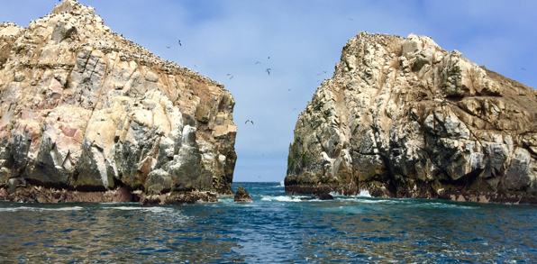 peru - Palomino_Islands