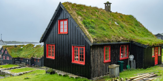 Hus Med Græstag