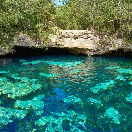 Riviera Maya Cenote 01 740556250