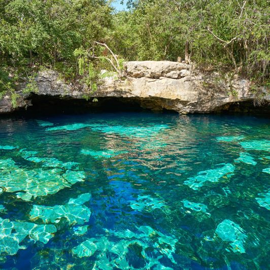 Riviera Maya Cenote 01 740556250