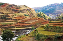 Antsirabe_rismark_01