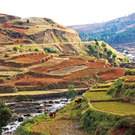 Antsirabe_rismark_01