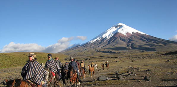 costa rica - cotopaxi hesteryg_01