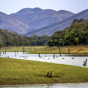 Ved Periyar Lake kan vi være heldige at spotte elefanter
