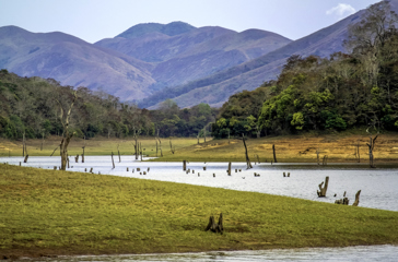 indien - periyar_lake