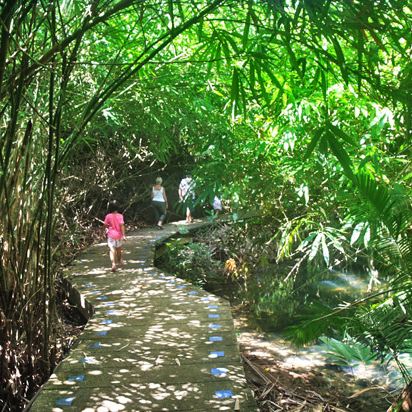 thailand - krabi regnskov_04