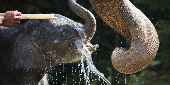 thailand - khao sok_elephant hills_haha_06