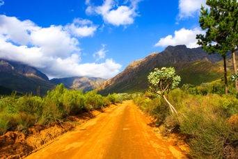 sydafrika - stellenbosch_jonkershoek_natur_reservat_01