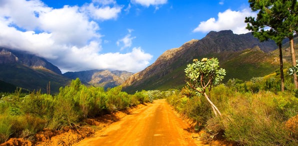 sydafrika - stellenbosch_jonkershoek_natur_reservat_01