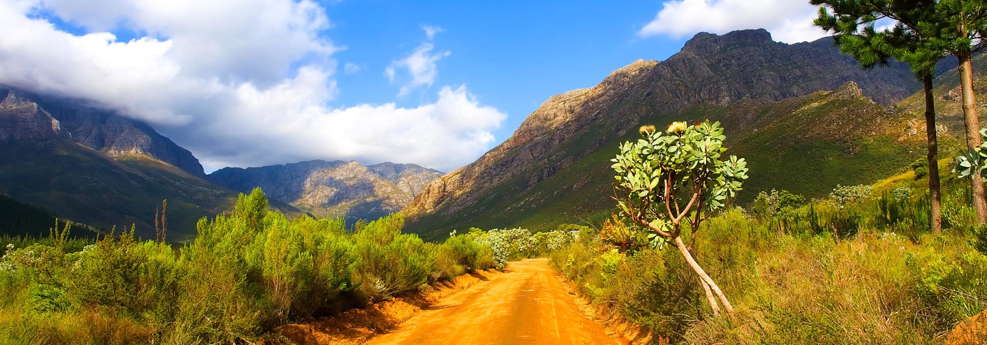 sydafrika - stellenbosch_jonkershoek_natur_reservat_01