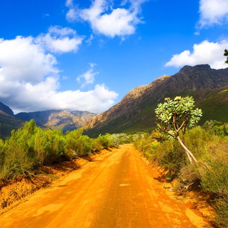 sydafrika - stellenbosch_jonkershoek_natur_reservat_01