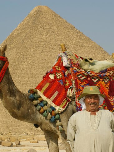 egypten - egypten edfu pyramid aswan abu simbel mand kamel