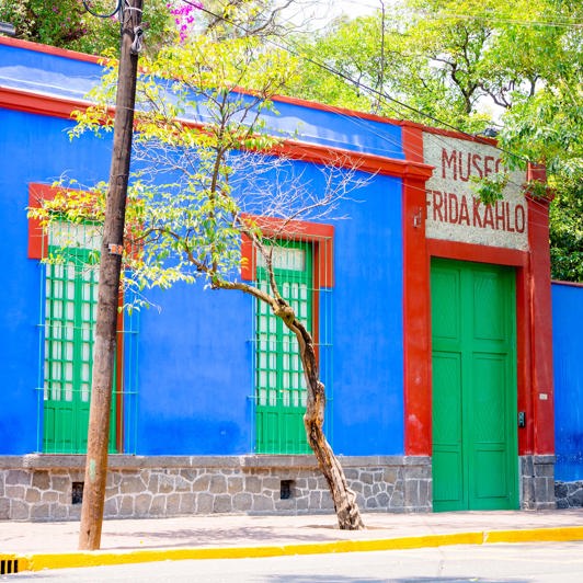 mexico - Mexico_Frida Kahlo museum_01