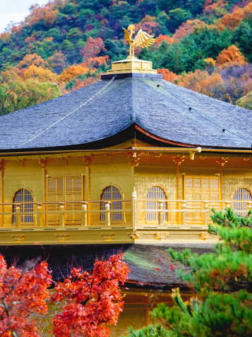 japan - kyoto_golden pavillion_04