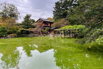 Kyoto Gyoen National Garden 2542328971