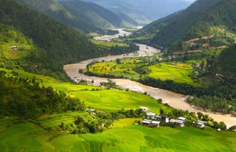 Punakha Dzong Landskab