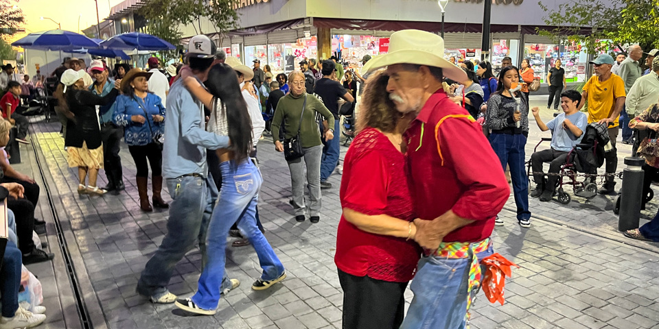 Mexico Chihuahua Cowboyhat (18)