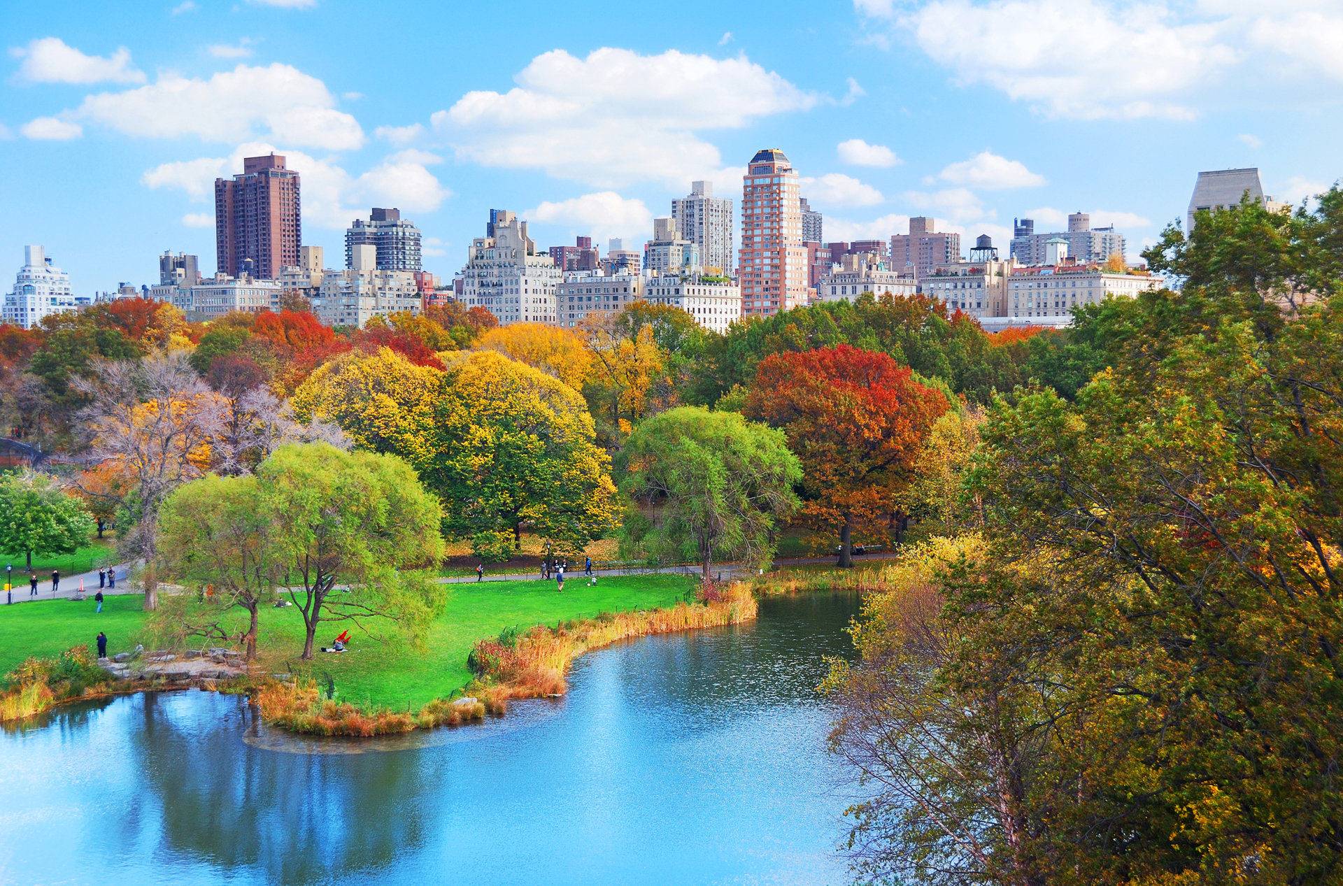 usa - new york_central park_01
